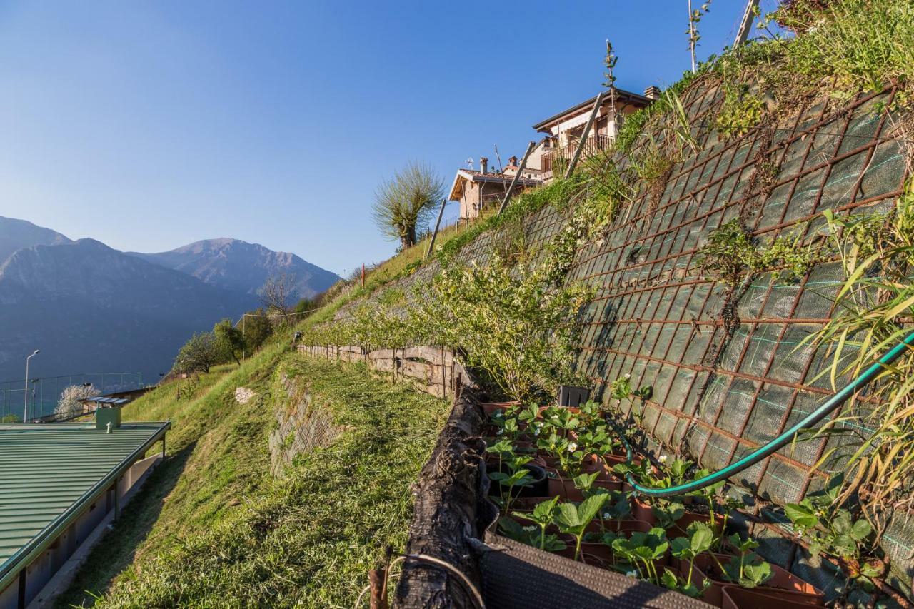 Agriturismo Alveare Sul Lago Pisogne Exteriör bild