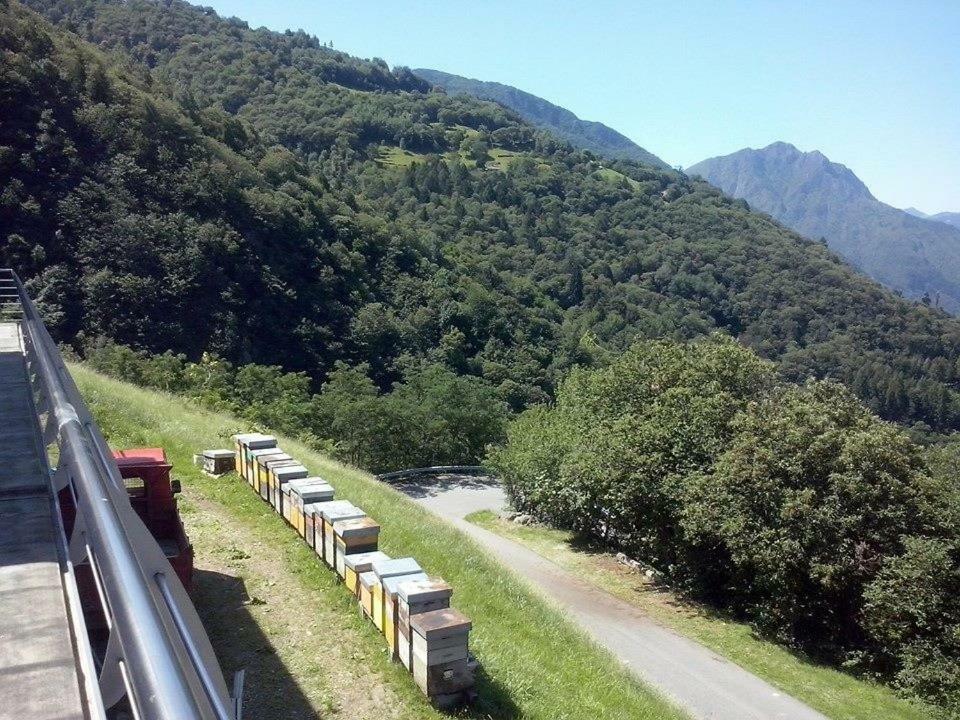 Agriturismo Alveare Sul Lago Pisogne Exteriör bild